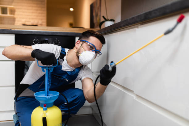 Best Best Pest Control Companies  in Racine, WI