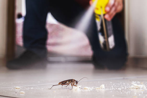 Best Ant Control Services  in Racine, WI