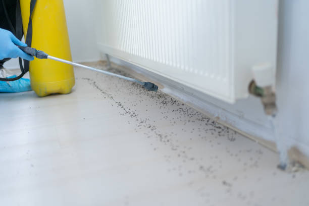 Best Pest Control Near Me  in Racine, WI